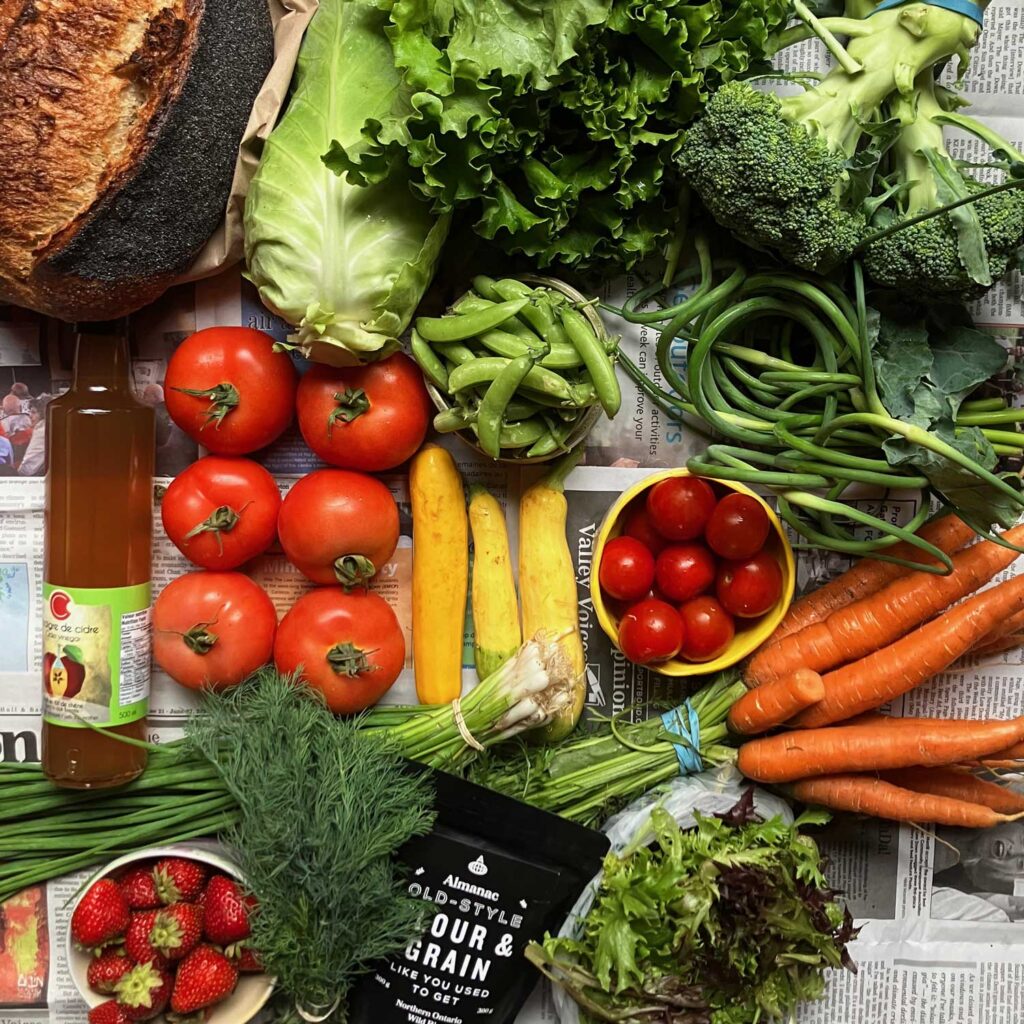 Collection of fruits and vegetables